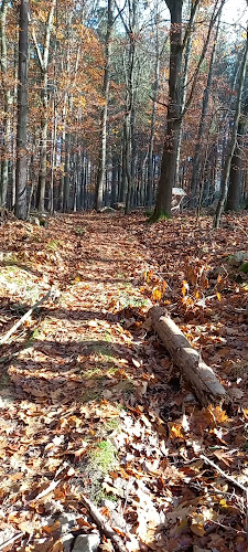Restaurace U draka - Karlovy Vary