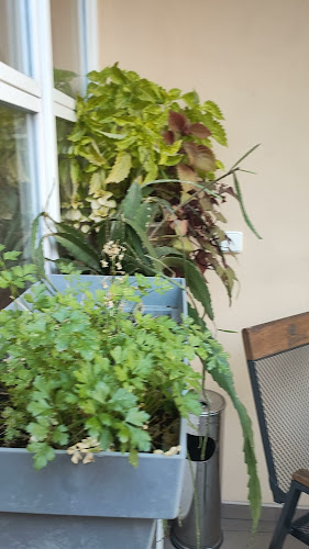 22, Újezd 424, Malá Strana, 118 00 Praha