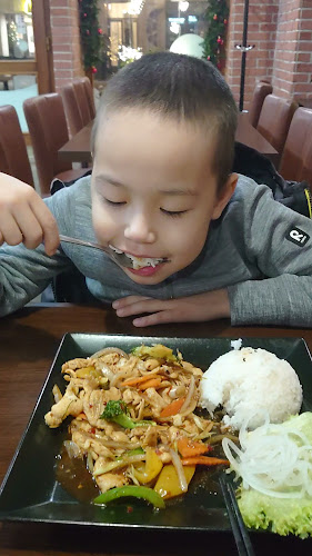 Opinii despre Hello Vietnam în Karlovy Vary - Gastronomie a pohostinství