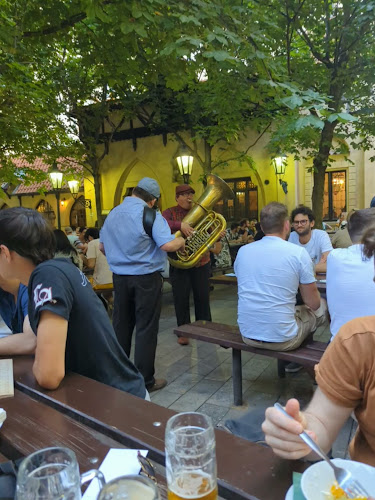 Opinii despre Restaurace a pivovar U Fleků în Nové Město - Gastronomie a pohostinství