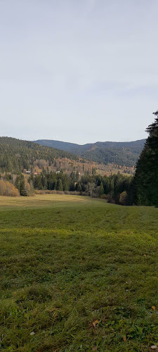 Opinii despre Horská chata Doroťanka în Ostrava - Gastronomie a pohostinství