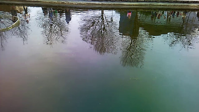 Pražská 2481/25, 301 00 Plzeň 3