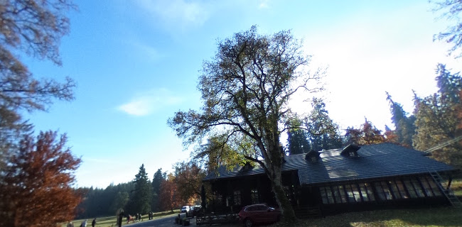 Restaurace a pension U Tetřeva - Gastronomie a pohostinství