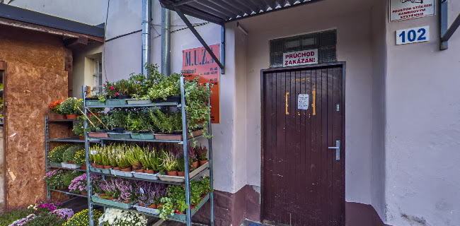 Květinová cukrárna u Natálie