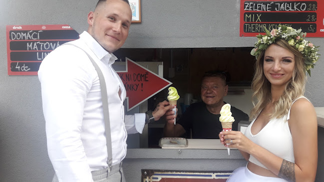 Zmrzlina - Gastronomie a pohostinství