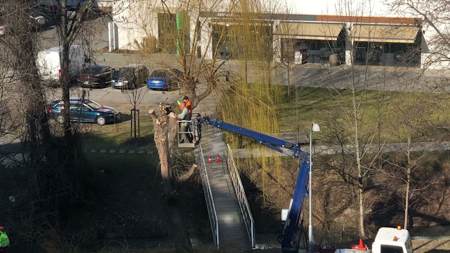 Opinii despre Bernard Bar Brno în Brno - Gastronomie a pohostinství