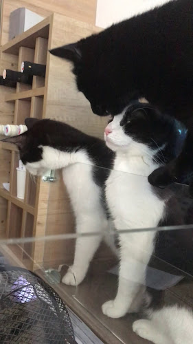 Michalská 430/3, 110 00 Staré Město