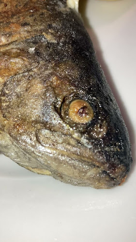 Opinii despre Restaurant Filip în Mariánské Lázně - Gastronomie a pohostinství