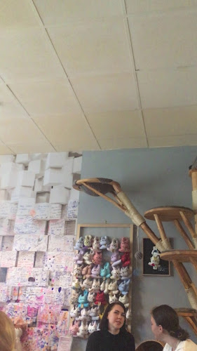 Opinii despre Kočičí kavárna în Plzeň - Gastronomie a pohostinství