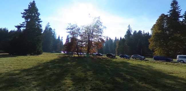 Comentarii opinii despre Restaurace a pension U Tetřeva