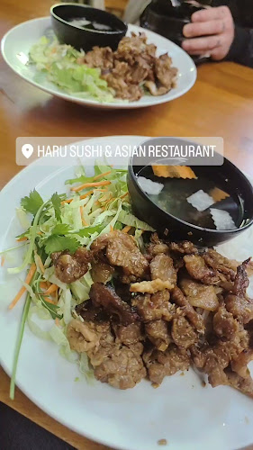 Opinii despre Haru Sushi în Praha - Gastronomie a pohostinství