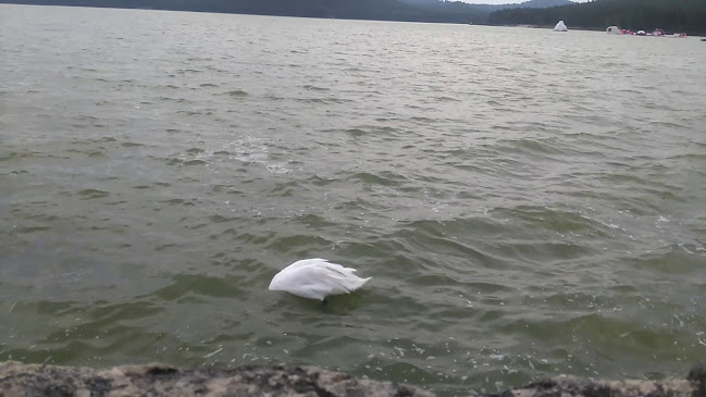 Molo 23 - Gastronomie a pohostinství