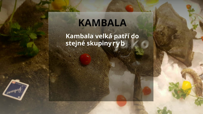 Opinii despre RESTAURACE ADRIA | Semily în Semily - Gastronomie a pohostinství