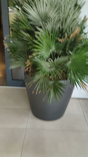 Comentarii opinii despre Garage Osteria