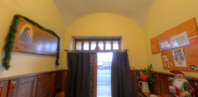 Comentarii opinii despre RESTAURACE U ZLATÉHO LVA