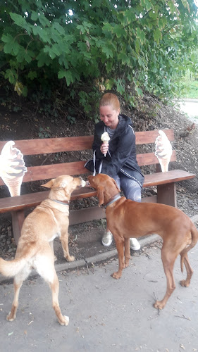 Zmrzlina - Praha 5-Jinonice