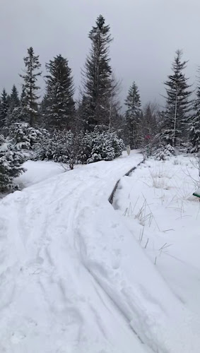 Penzion pizzerie Erika