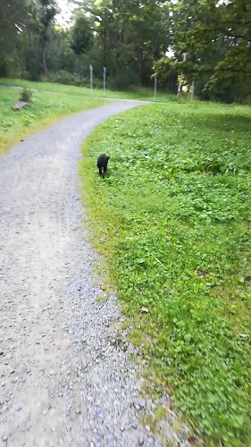 Opinii despre Malá Jamajka în Město - Gastronomie a pohostinství