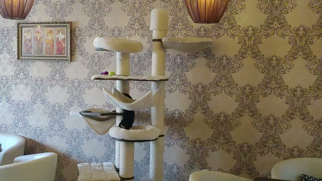 Opinii despre Kočičí kavárenský klub în Ivančice - Gastronomie a pohostinství