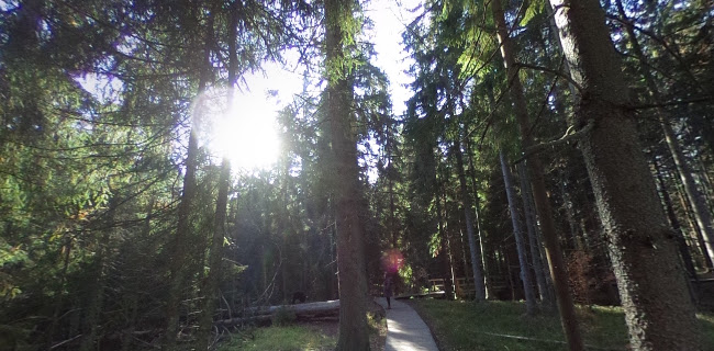 Opinii despre Restaurace a pension U Tetřeva în Kladská - Gastronomie a pohostinství