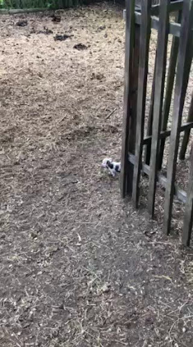 Malá Jamajka - Gastronomie a pohostinství