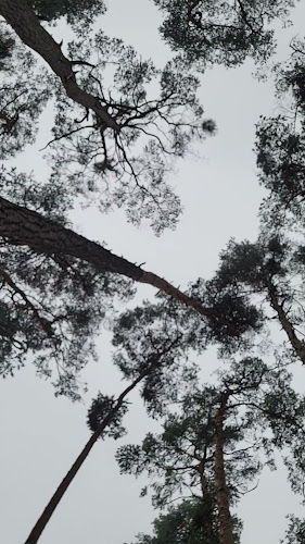 Opinii despre Ranč Šídlovák în Plzeň 1 - Gastronomie a pohostinství