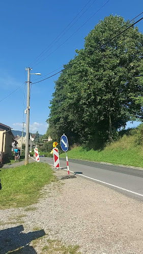 Opinii despre Restaurace pod Javorem + bowling în Staré Město - Gastronomie a pohostinství