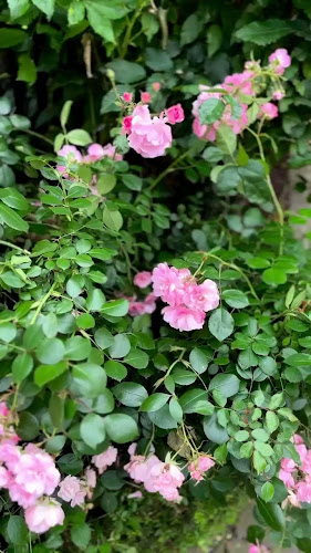 Kampa Park Restaurant - Malá Strana