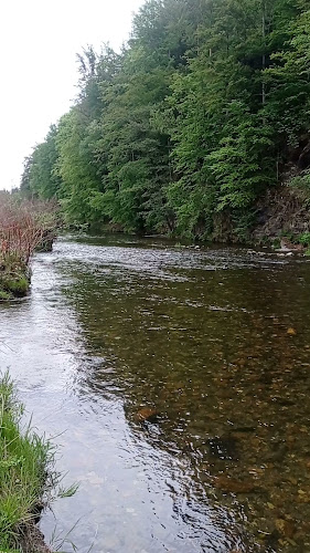 Opinii despre Patolda în Mikulovice - Gastronomie a pohostinství