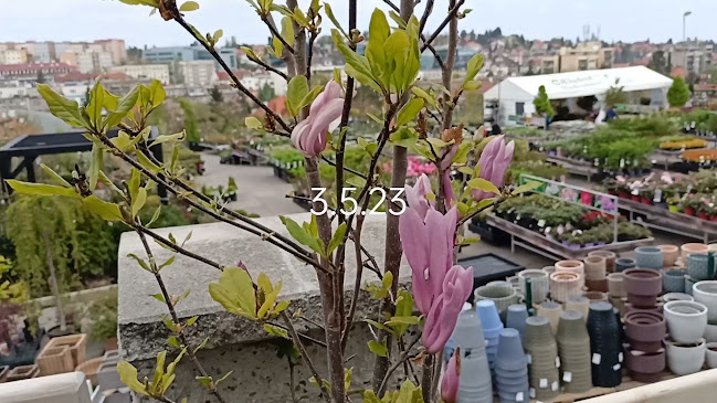 Opinii despre Restaurace Chládek în Praha - Gastronomie a pohostinství