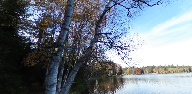 Restaurace a pension U Tetřeva - Kladská