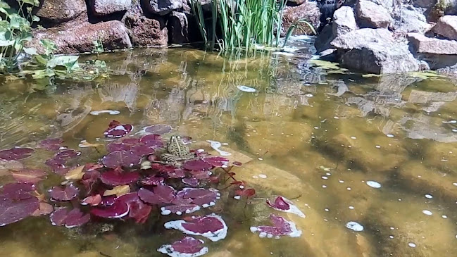 Chotiměř 48, 410 02 Chotiměř