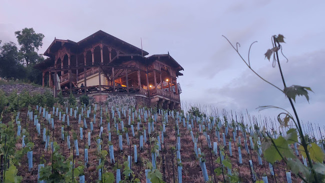 Viniční altán - Praha