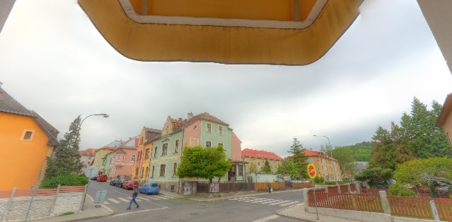 Švejk Pivnice U Věžičky - Gastronomie a pohostinství