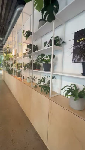 The Miners Coffee Churchill