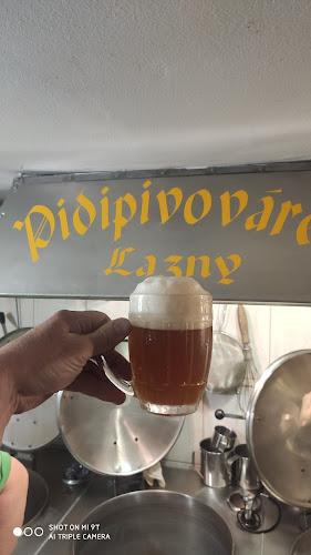 Comentarii opinii despre Pidipivovar Lazny