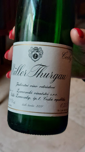 Comentarii opinii despre Vinárna U sv. Anežky