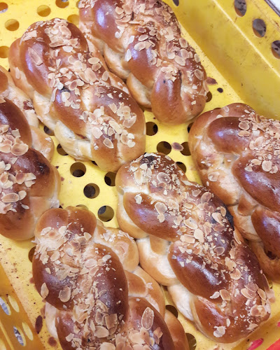 Comentarii opinii despre Jan Sikora