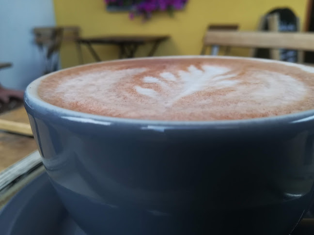 Bílá Vrána - Brno