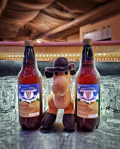 Comentarii opinii despre Žíznivý dromedár - Minipivovar a restaurace Ostrava