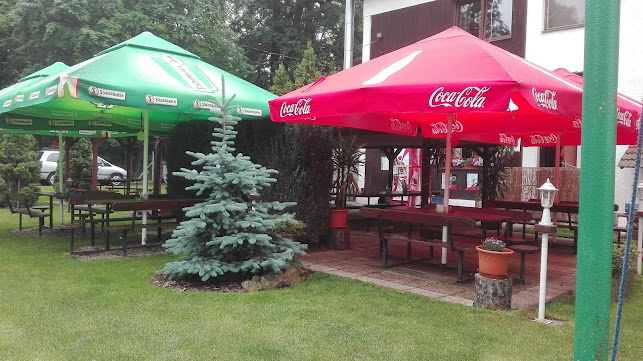 Comentarii opinii despre Pizza Pod Lipou