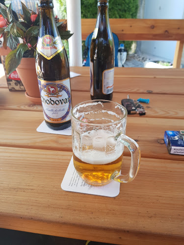 Opinii despre Restaurace Stará Pošta în Karlovy Vary - Gastronomie a pohostinství