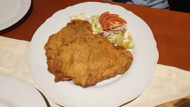 Restaurace Sklípek, Restaurace Karlovy Vary - Karlovy Vary