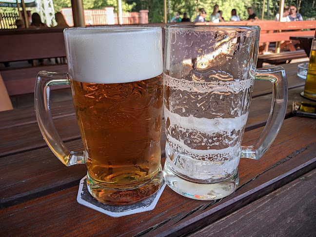 Lipová, 738 01 Frýdek-Místek 1