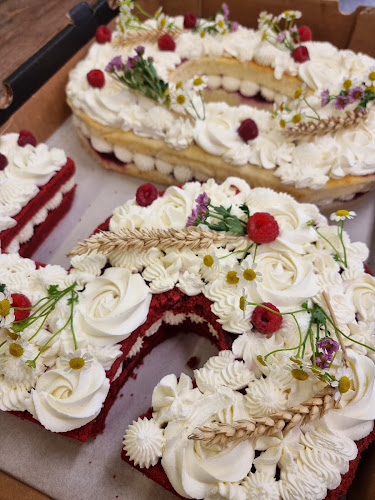 Krnovská 598/26, 746 01 Opava 1-Předměstí