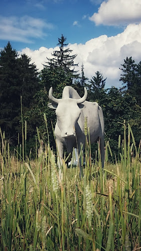 Hostinec Pod Maršálem - Lhůta