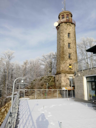 Chata Proseč - Gastronomie a pohostinství