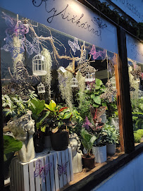 Comentarii opinii despre VINOTÉKA - NÁPOJE GOLDŠMÍDOVI