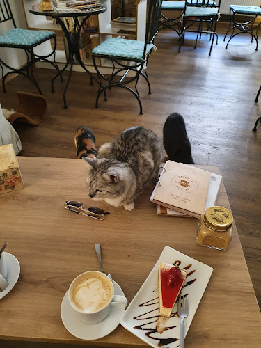 Comentarii opinii despre Kavárna Kočičí Praha