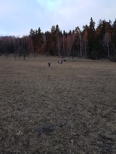 Opinii despre V Koutě în Liberec - Gastronomie a pohostinství